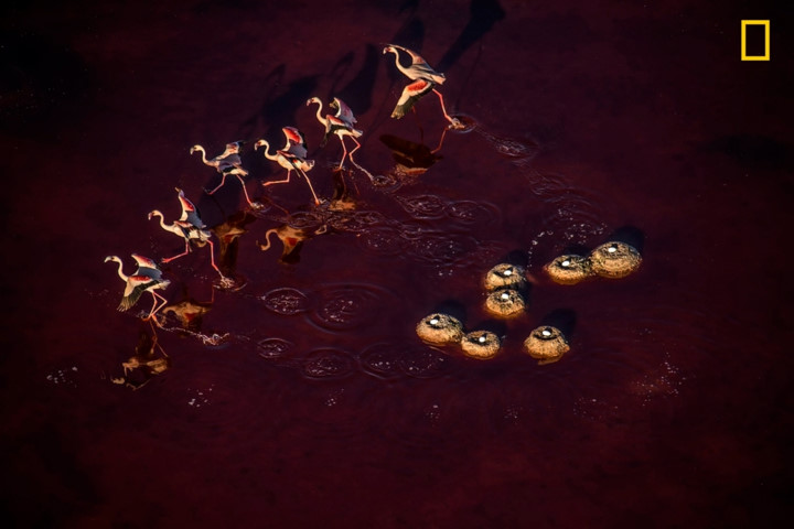 nhung buc anh thien nhien an tuong tren tap chi hang dau cua my hinh 5