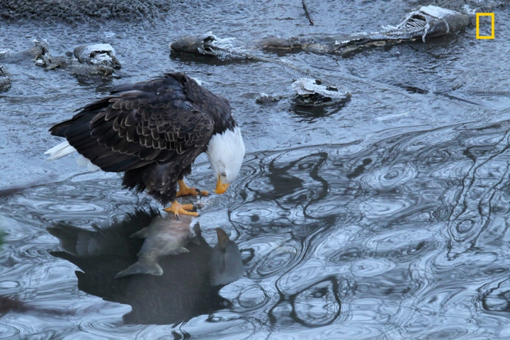 nhung buc anh thien nhien an tuong tren tap chi hang dau cua my hinh 8