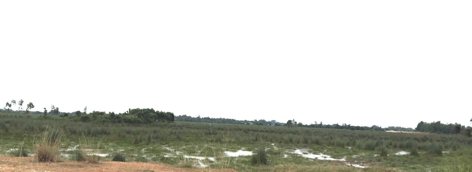 vu-tranh-chap-du-an-khu-dan-cu-cao-cap-va-truong-dua-ngua-500ha-o-long-an-tgnguoinoitieng-21