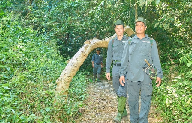 nong-nghiep-xanh-la-huong-di-tat-yeu