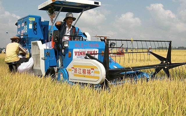 xay-dung-chuoi-gia-tri-de-gao-viet-nam-phat-trien-ben-vung