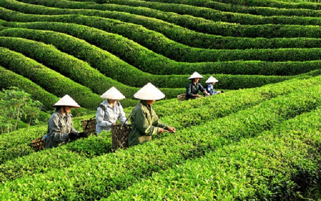 thai-nguyen-hien-thuc-hoa-khat-vong-tro-thanh-trung-tam-thuong-mai-vung