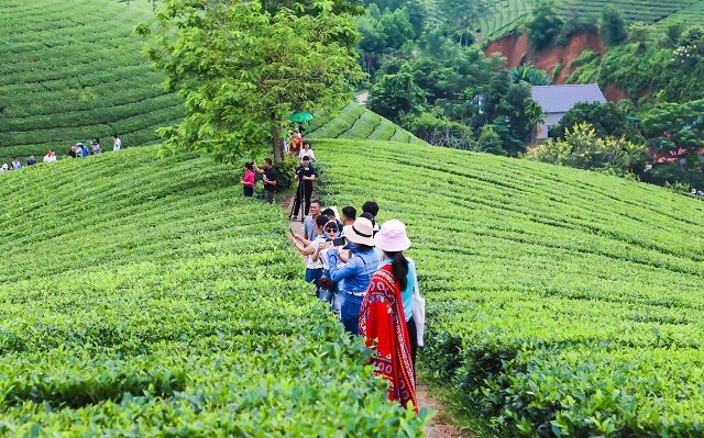 long-coc-diem-den-thu-hut-du-khach-du-lich-trong-nuoc-va-quoc-te
