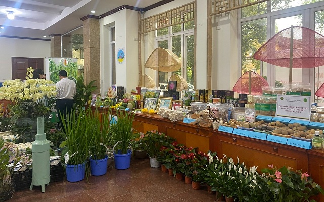 nam-2024-xuat-khau-cac-san-pham-nong-nghiep-tang-tren-18