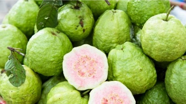 loai-qua-chua-vitamin-c-gap-4-lan-cam-cham-an-khoi-lo-gap-bac-si