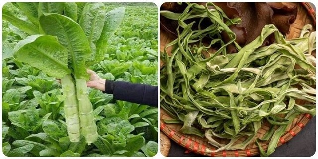 loai-rau-de-trong-giup-thai-doc-lai-phong-ngua-ung-thu-cuc-tot