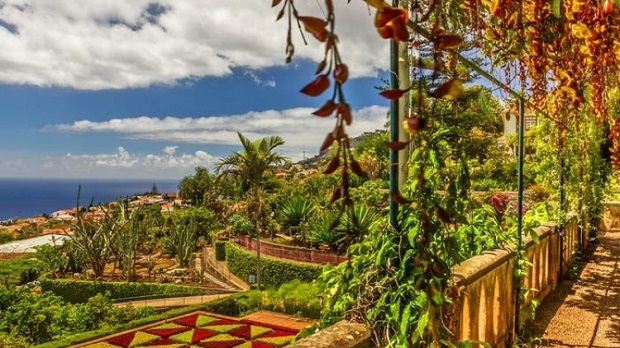 madeira-hon-dao-thien-duong-hot-nhat-chau-au