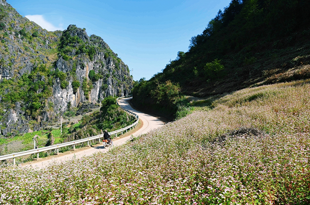 nhung-diem-den-trong-nuoc-phu-hop-di-xe-ca-nhan-3