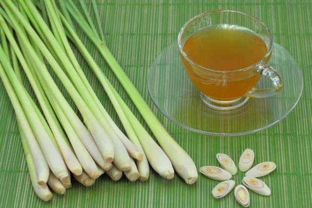 cu-sa-co-tac-dung-the-nao-trong-phong-covid-19