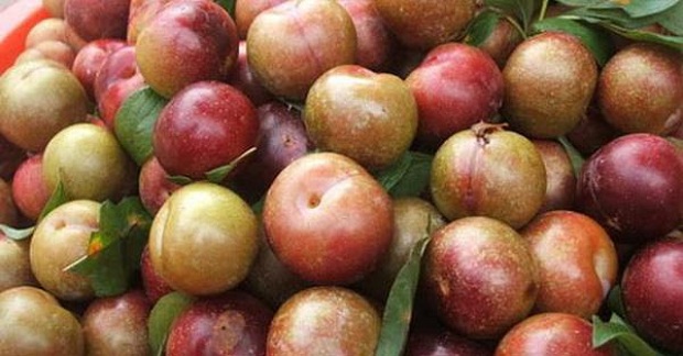 nhung-nguoi-dai-ky-voi-man-tuyet-doi-khong-nen-an-keo-ruoc-them-benh