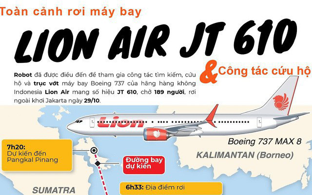 lion-air-roi