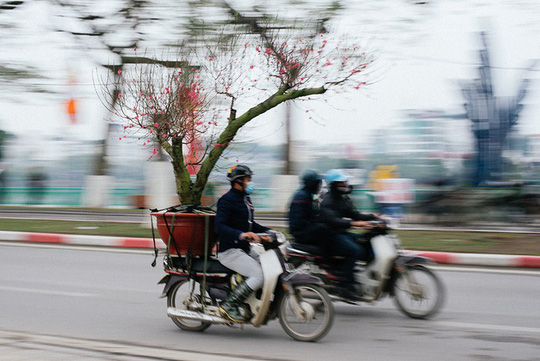 cho-tet-ha-noi-vanhoadoanhnhan