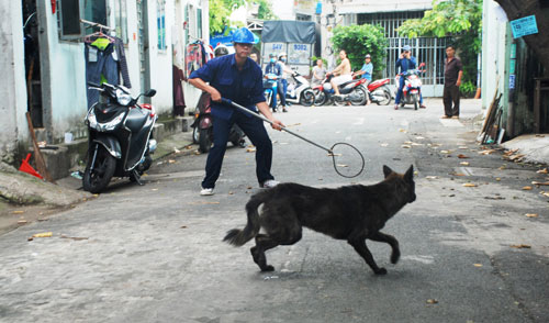 bat-cho-tha-rong-vanhoadoanhnhan