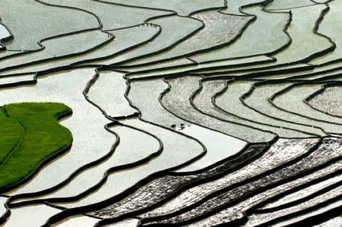 mu-cang-chai-vhdn