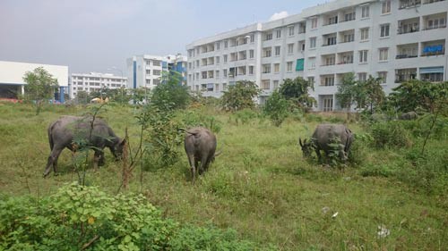 khu-tai-dinh-cu-vinh-loc-b-vanhoadoanhnhan