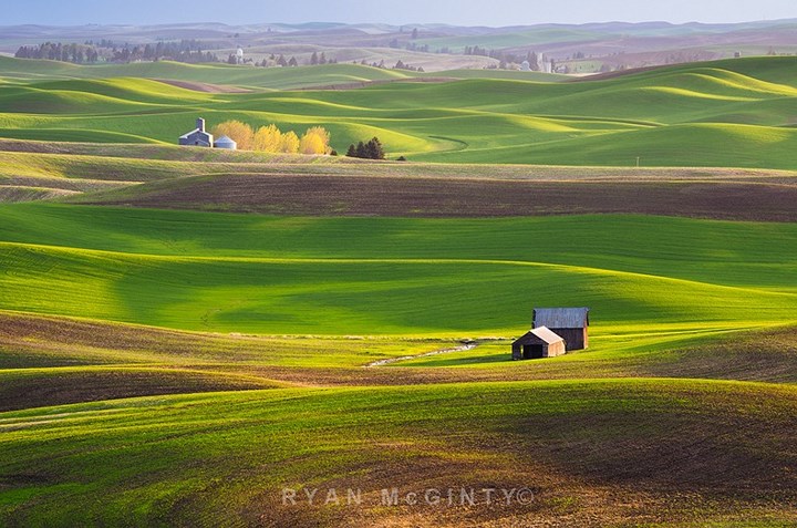 Palouse-vanhoadoanhnhan-2