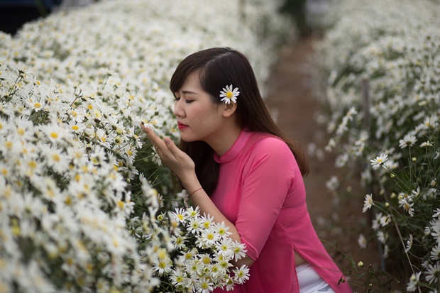 ngoc-quynh-miss-ghb-7