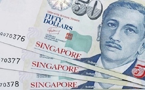 tien-singapore-vhdn