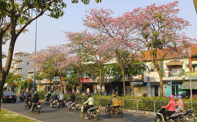 duong-hoa-ken-hong