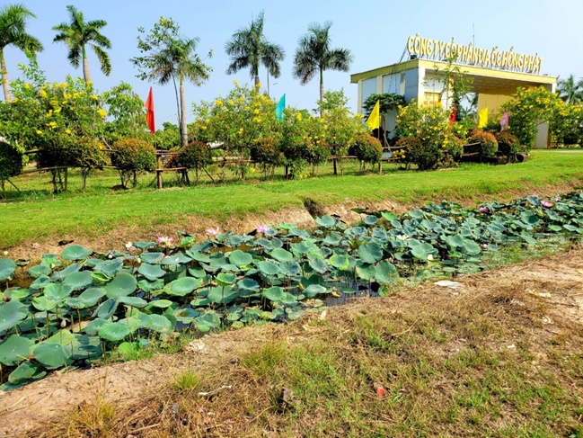 pho-thu-tuong-thuong-truc-truong-hoa-binh-chi-dao-cac-bo-nganh-xem-xet-giai-quyet-kien-nghi-cua-cong-ty-hong-phat-vhdn