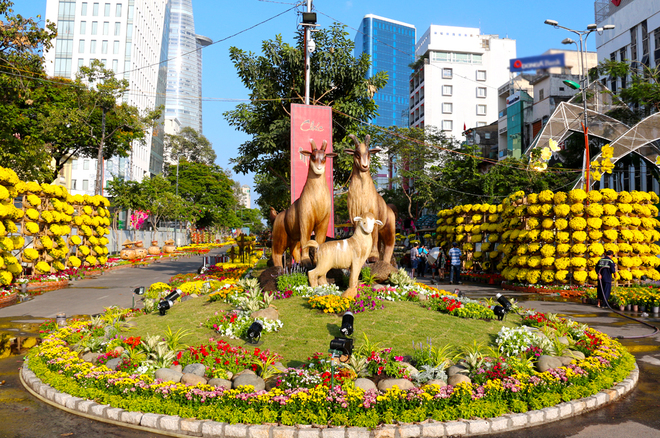duong-hoa-Tet-14