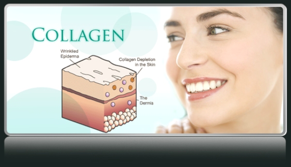 collagen-1