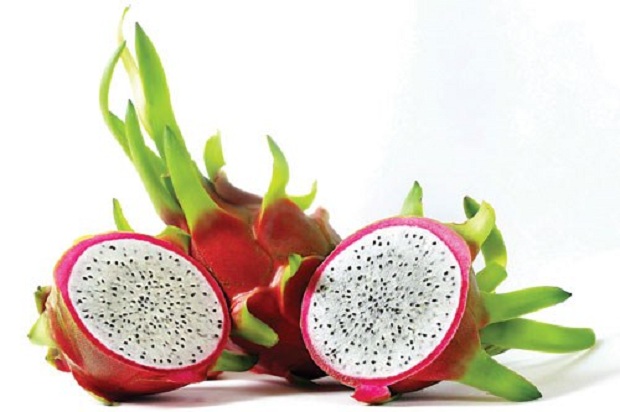 van-hoa-doanh-nhan-loi-ich-cau-thanh-long