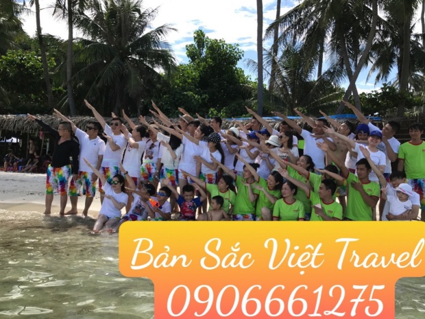 batch bsv-1
