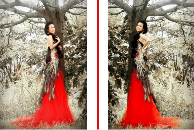 VHDN-DVThuyDuong-2