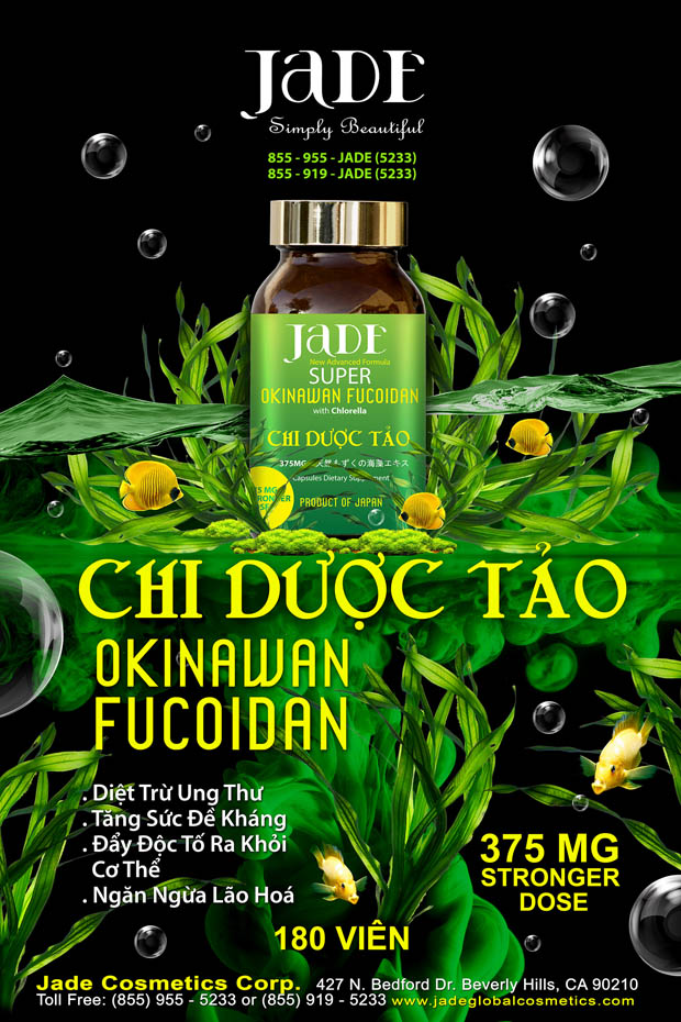 vhdn-chi-duoc-tao-2