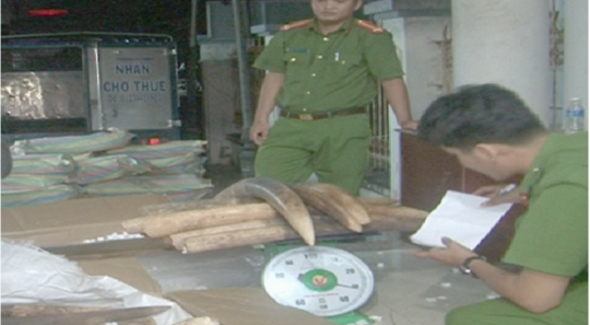luc-luong-chuc-nang-dang-tien-hanh-kiem-tra-tang-vat-vanhoadoanhnhan