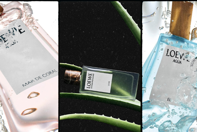 loewe-22-8-cover