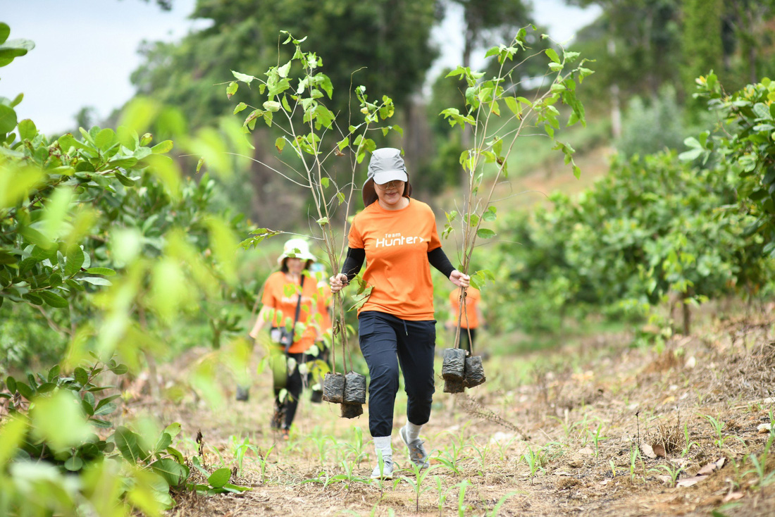 6.200 cây rừng được vun đắp từ những viên pin cũ - Ảnh: QUANG ĐỊNH