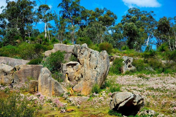 Perth - Ảnh 8.