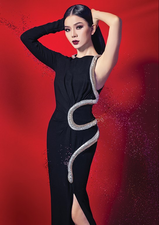 Le Quyen ket hop cung nhac si Thai Thinh ra mat album nhac tre-hinh-anh-1